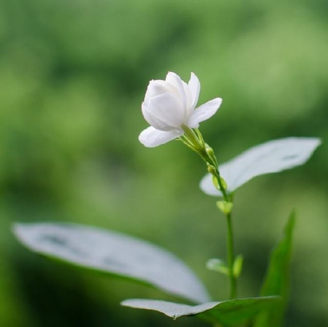 致自己看透人生的句子,精辟入骨,让人瞬间醒悟!