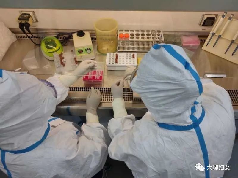 马亚娇参与州疾控中心病毒采样及核酸检测
