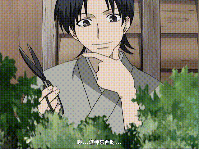 动漫表情动图gif!水果篮子,那令人难忘的搞笑情景!