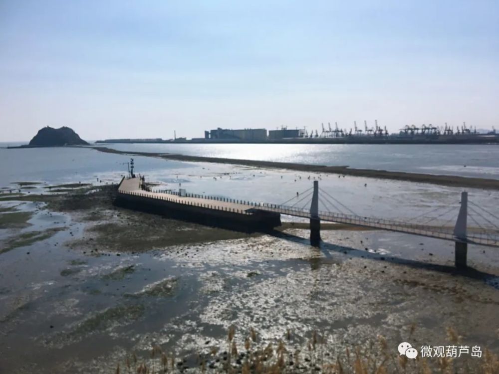 90年代初,锦州港的建设完全阻隔了南西向波浪对连岛坝的营造过程,岛