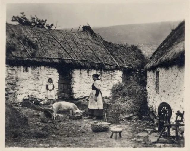 爱尔兰人正在喂猪,背后是茅草屋,看起来也比较破旧,跟同时期清朝农村