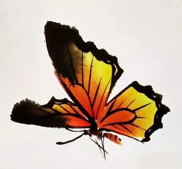 画蝴蝶的步骤,以及姿态各异的蝴蝶画法