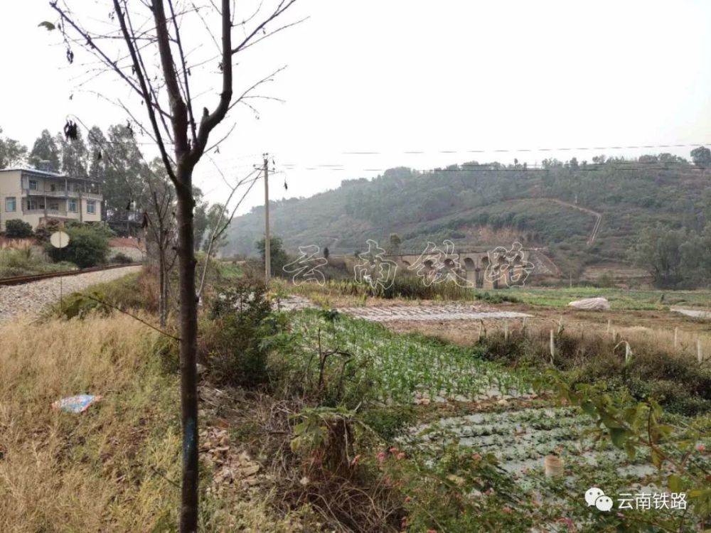 滇越铁路开远玉林山七孔桥 弥蒙铁路开远段正线全长29.
