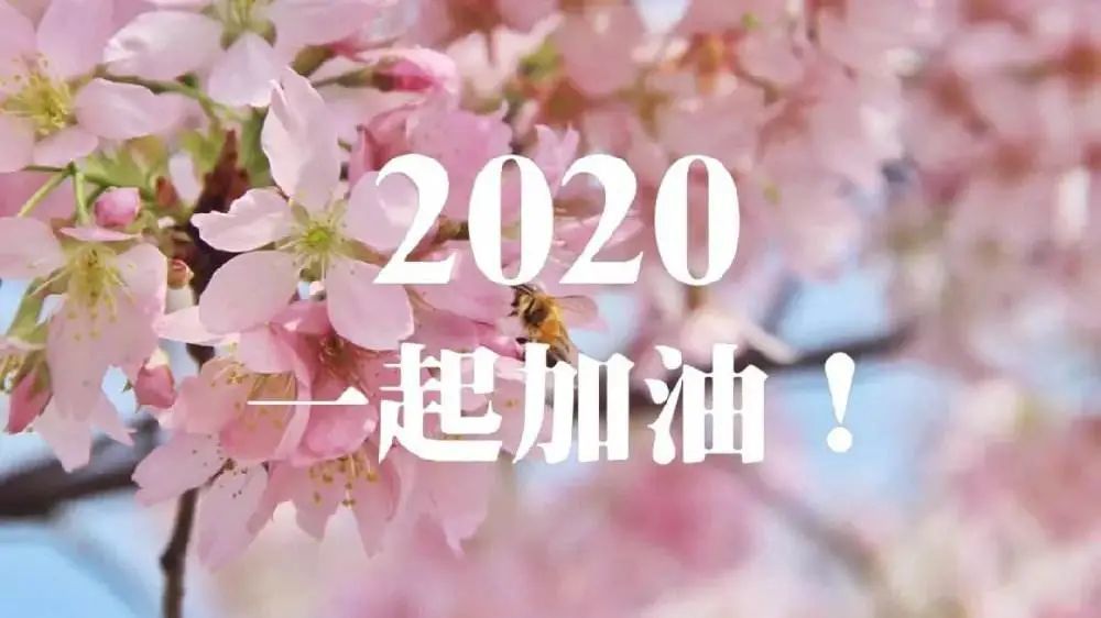 讲述《春天的故事》 带着观众来到《在那桃花盛开的地方》 徜徉《在