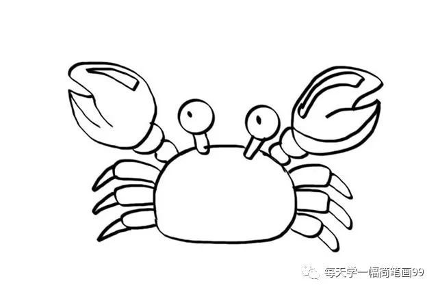 每天学一幅简笔画-螃蟹简笔画的画法图片大全