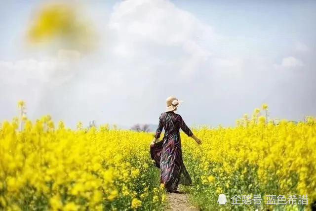拍摄的时候抓拍为主,结合摆拍