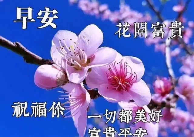 3月1日抗击疫情问候大家早上好动图表情美女2020,清晨