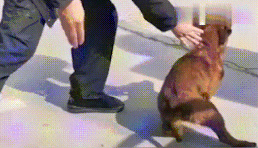 天天快报