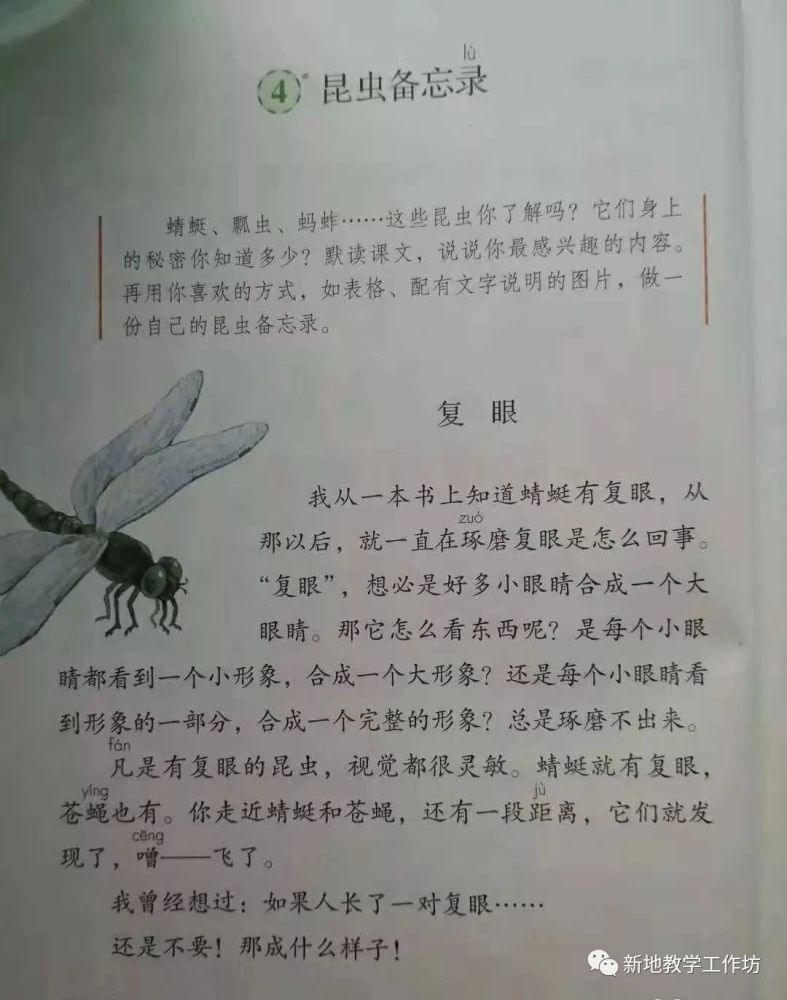 儿童舞蹈教案模板范文_儿童舞蹈教案模板范文_幼儿操体育教案模板范文