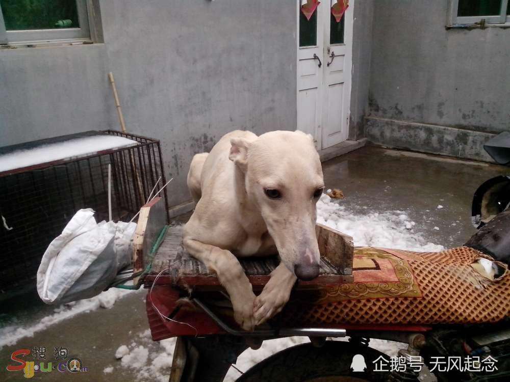 "男怕磨,女怕泡,鸡怕撵,狗怕舔",牢记古人的忠告,受益