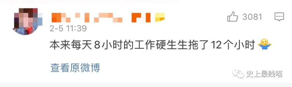 第一批在家办公的网友们已经疯了 哈哈哈哈哈哈人间真实 看点快报