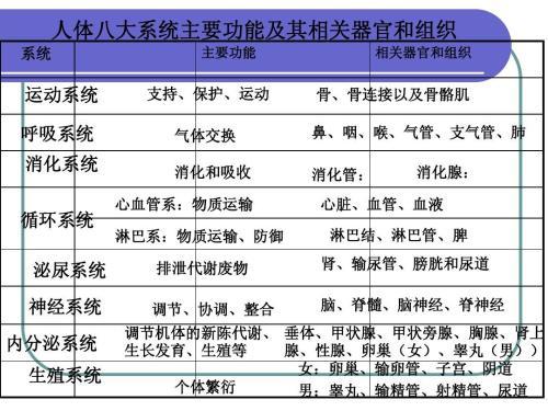 人体八大系统之运动系统疾病的防与治