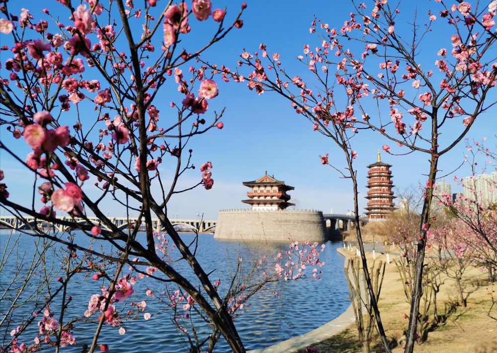 洛阳洛河北岸,风景独好网红打卡景点—瀍壑朱樱塔