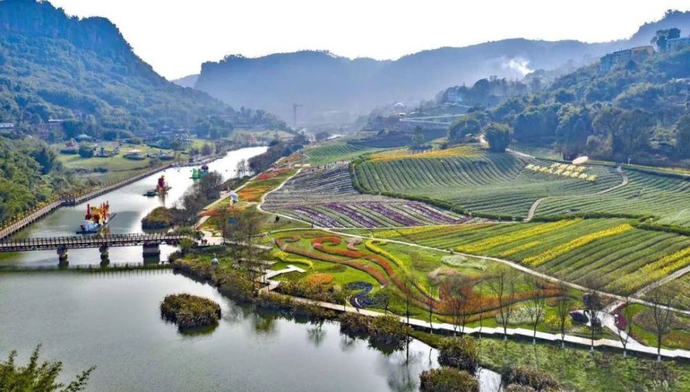5小时车程的 泸州花田酒地景区 经向政府相关部门提交复工申请备案 并