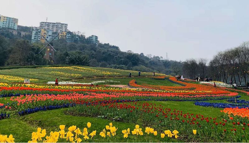 泸州花田酒地景区恢复开放,门票预订指南来了,请