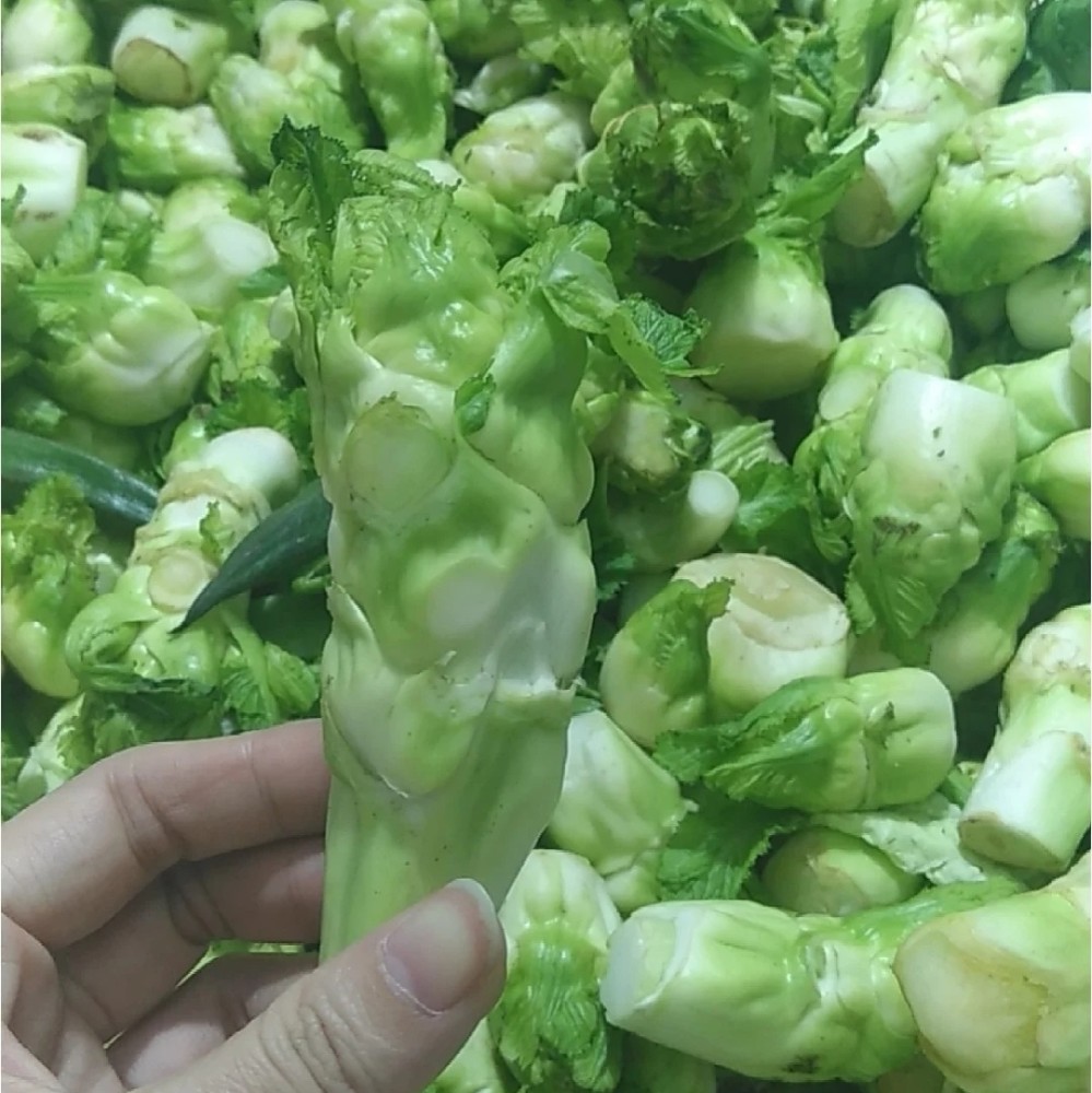 6种让人好奇心发作的蔬菜,四川向湖北捐赠的"妈带儿菜