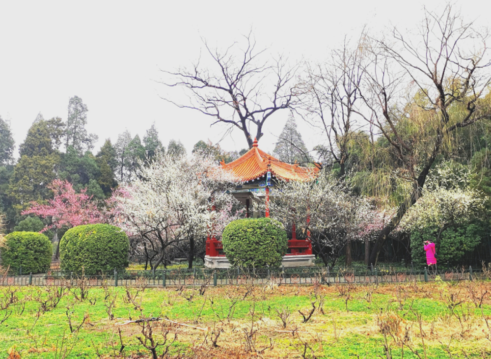 公园,郑州,碧沙岗公园