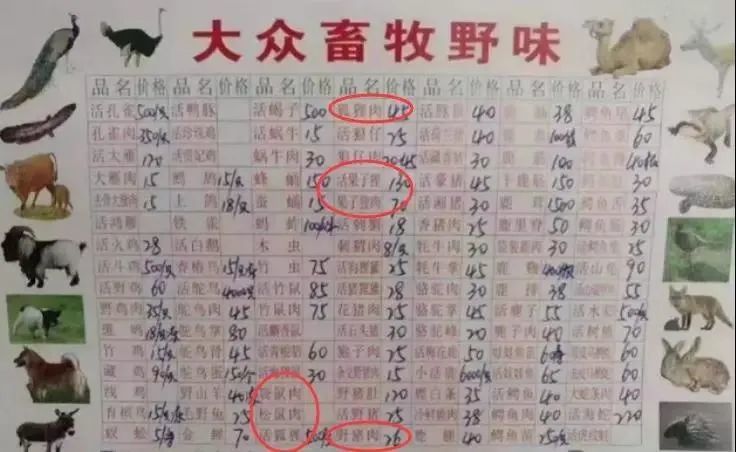 法律为何禁止不了他们吃野生动物?