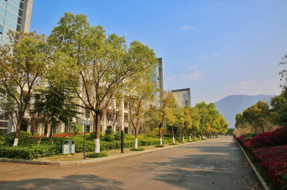 我从未如此想念温州职业技术学院