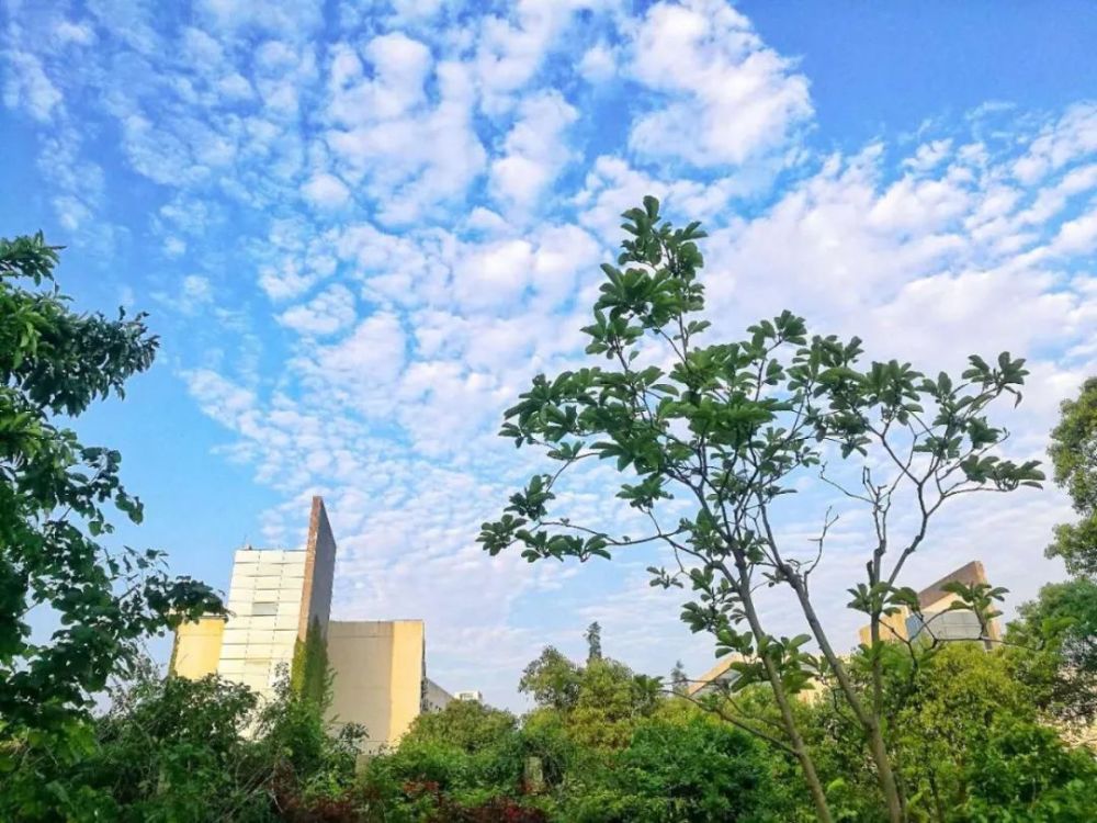 我从未如此想念温州职业技术学院