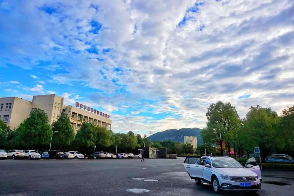 我从未如此想念温州职业技术学院