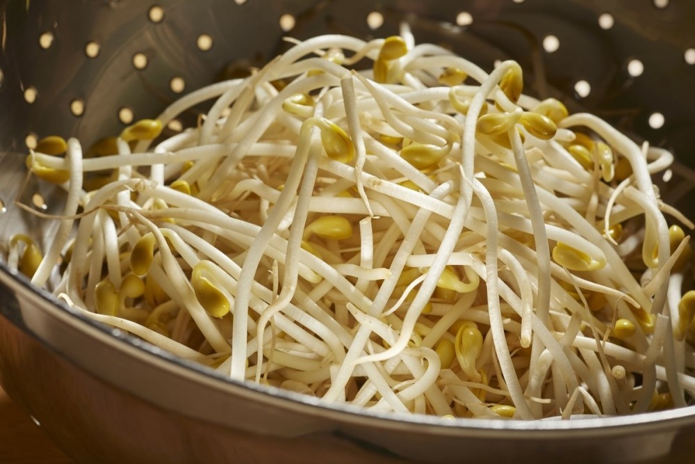 在家生绿豆芽,记住3个要点,豆芽水嫩脆爽,比买的好吃