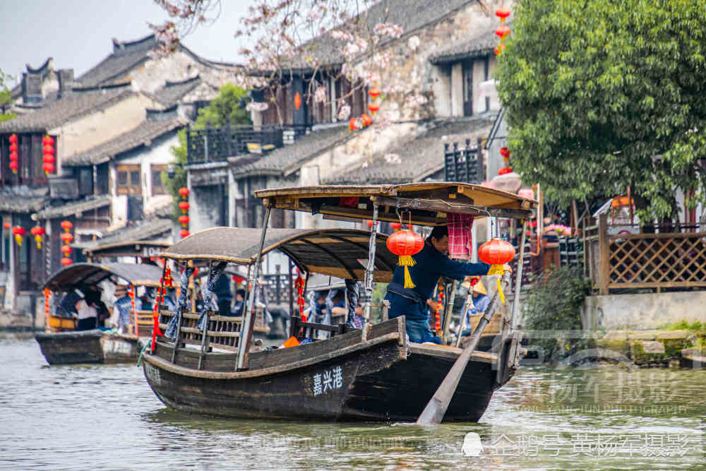 浙江嘉善县西塘古镇的水乡风光,摇橹船在河道里穿梭再现繁忙景象