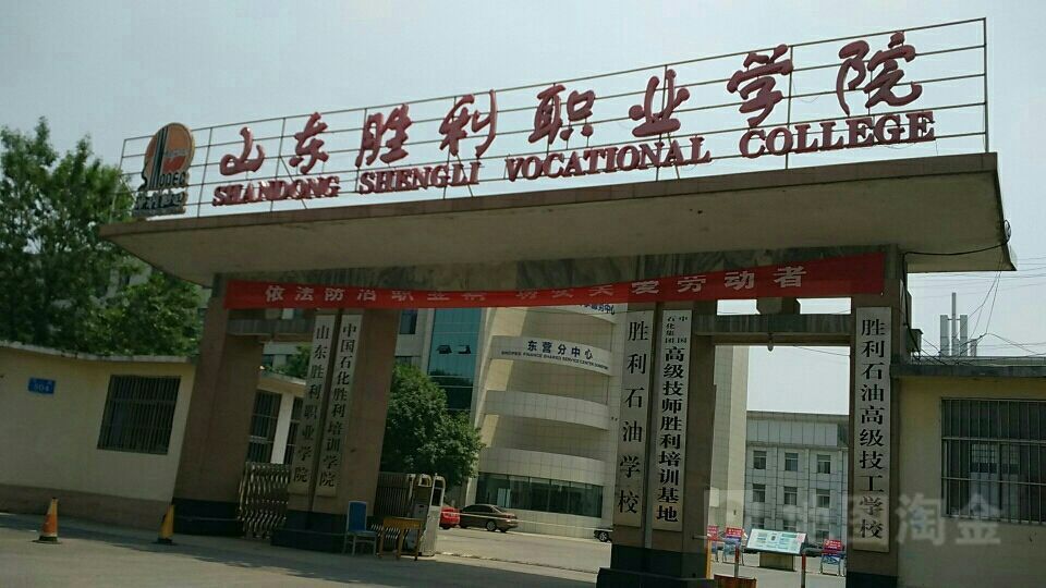 东营区,中国石油大学胜利学院,黄河入海口,山东,东营职业学院,二级