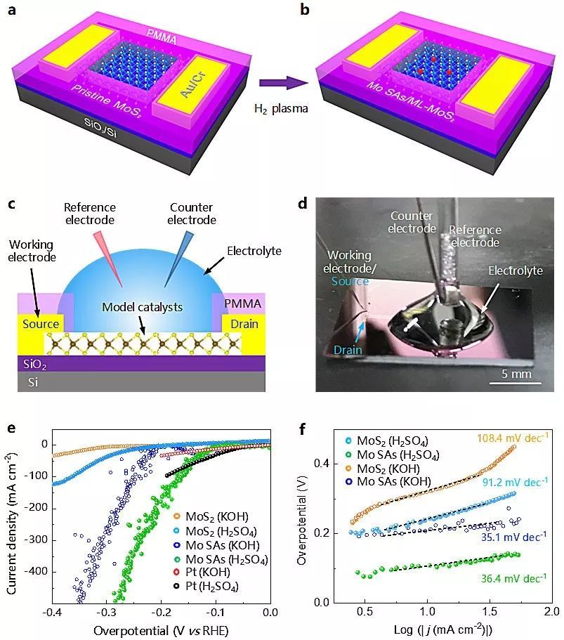 钼单原子/单层二硫化钼的微型电化学反应器模型及电催化性能测试