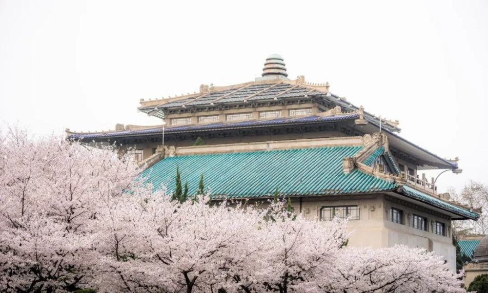 2020武汉春天的愿望:共赴一场樱花雨