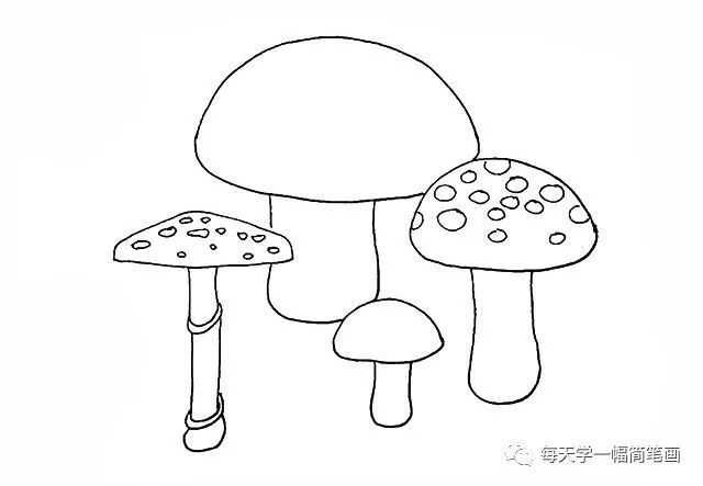 每天学一幅简笔画-一组蘑菇简笔画画法步骤图解教程