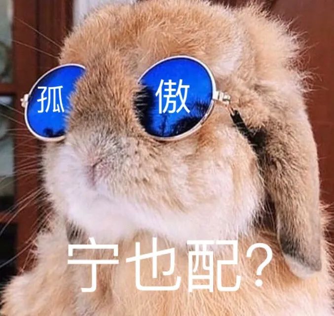 斗图必备表情包 i 哦哟 了不起 了不起