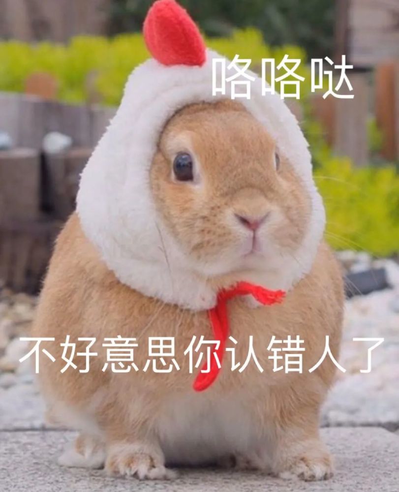 斗图必备表情包 i 哦哟 了不起 了不起