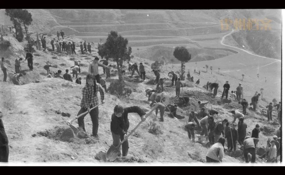 1975年,大张村劳动场景.