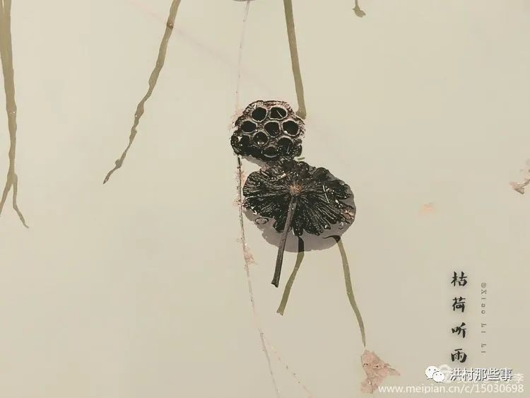 细数一片片残荷,心静如禅