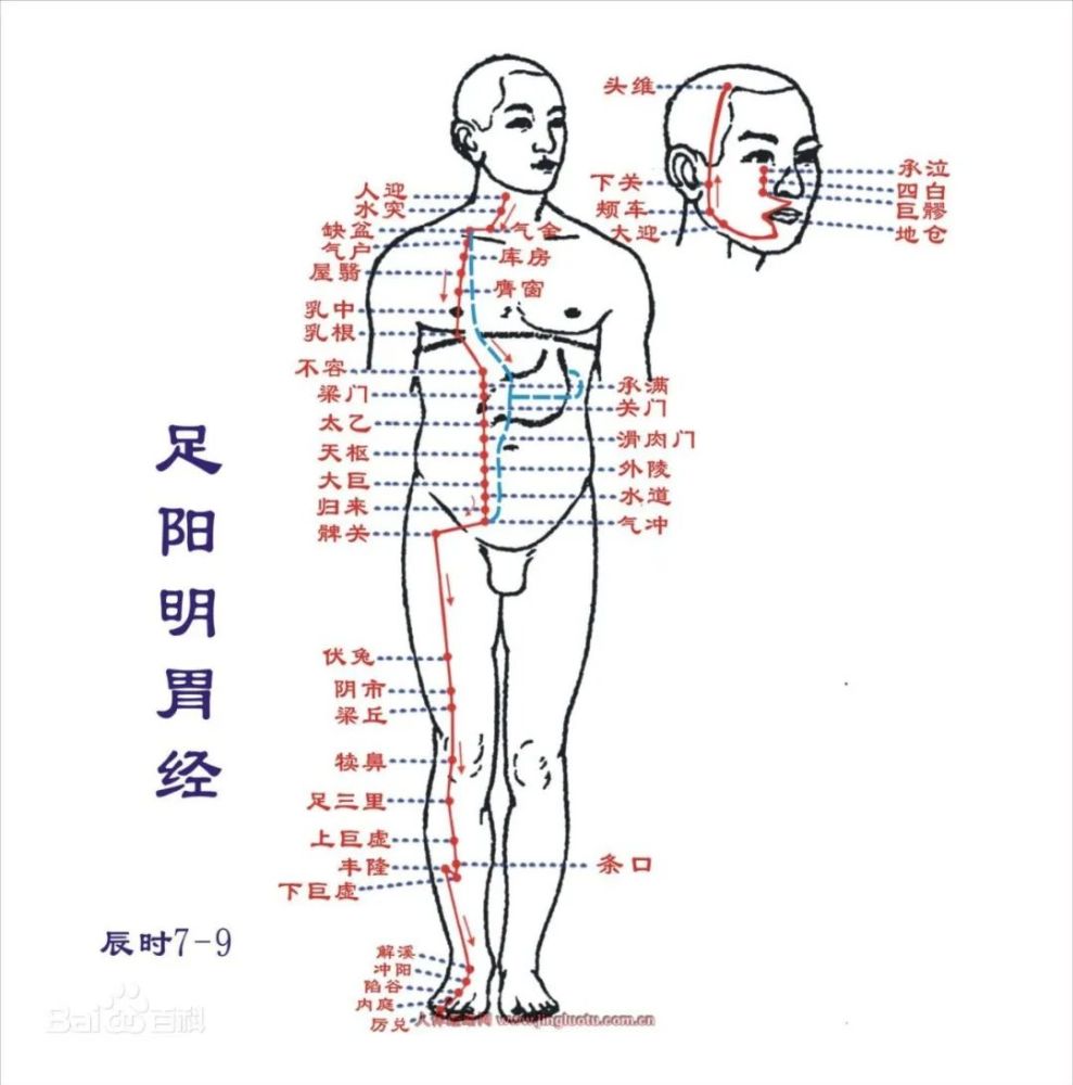 久视伤眼,更伤肝血,经络按摩明眸亮眼