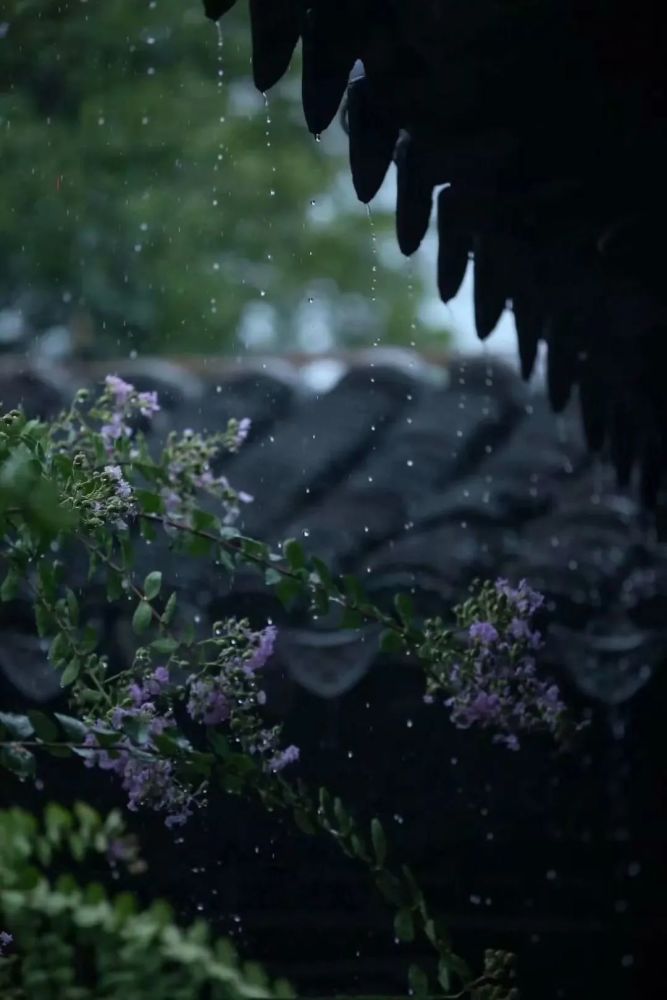 做个闲人,静倚书窗听雨声!