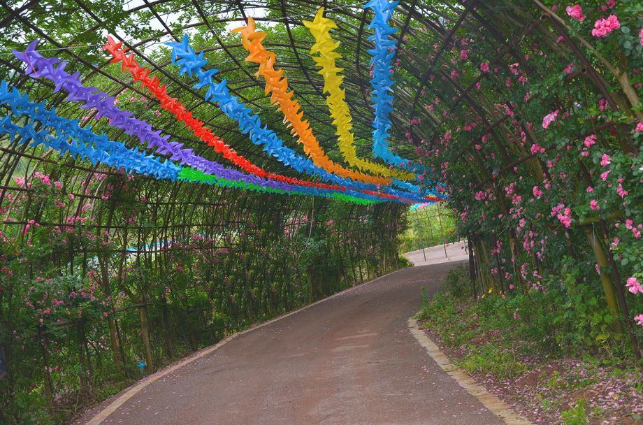 好花红旅游度假景区恢复营业啦,疫情过后让我们一起拥抱春暖花开!