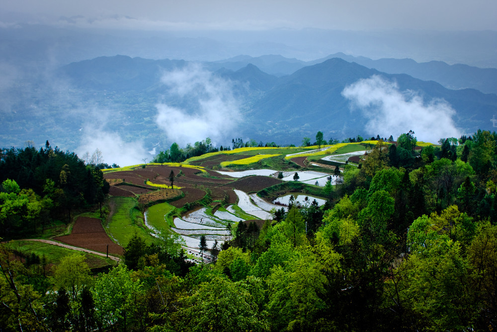 汉中,油菜花,汉山,美女,云雾