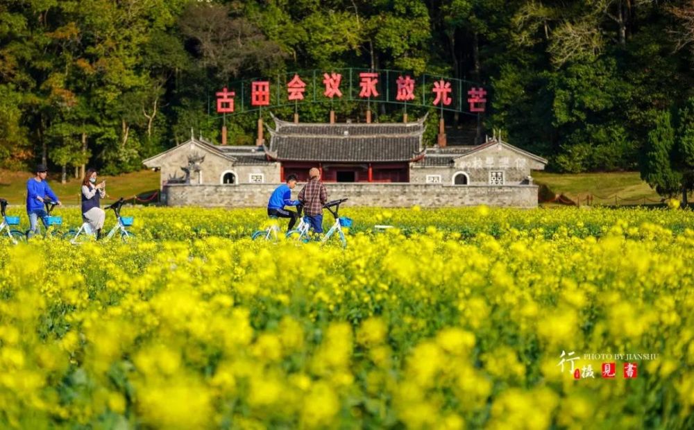 上杭古田百亩油菜花开了,小编带您"云"旅游!