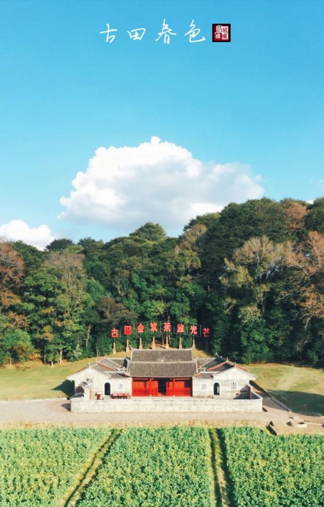 上杭古田百亩油菜花开了,小编带您"云"旅游!