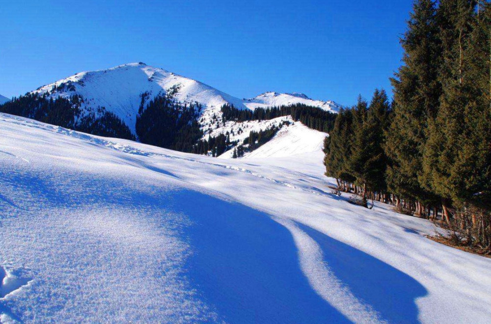 新疆,乌鲁木齐,南山牧场,雪景