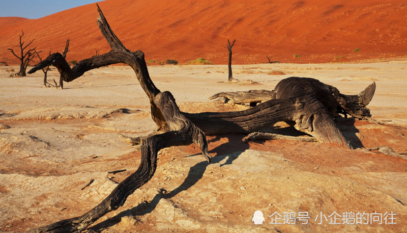 地球上独一无二的地方·纳米比亚死亡谷