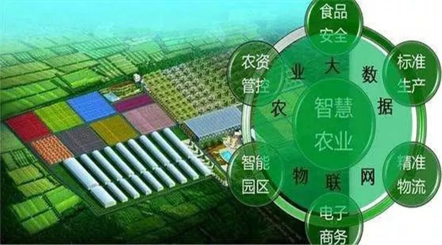 农业产业创新服务平台(公众号:nyguancha)