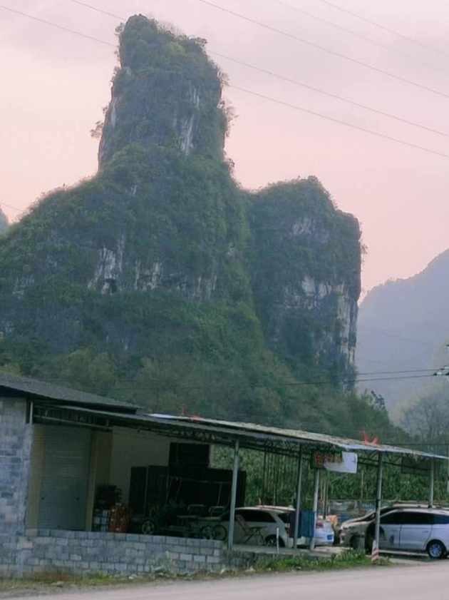 马山县,广西,百色市,疫情防控,金钗镇,马山中学