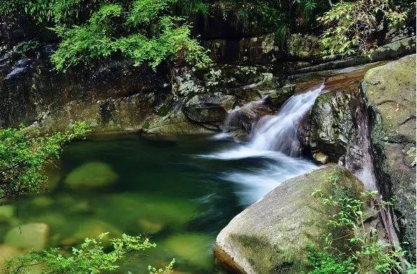 叫 大鄣山卧龙谷