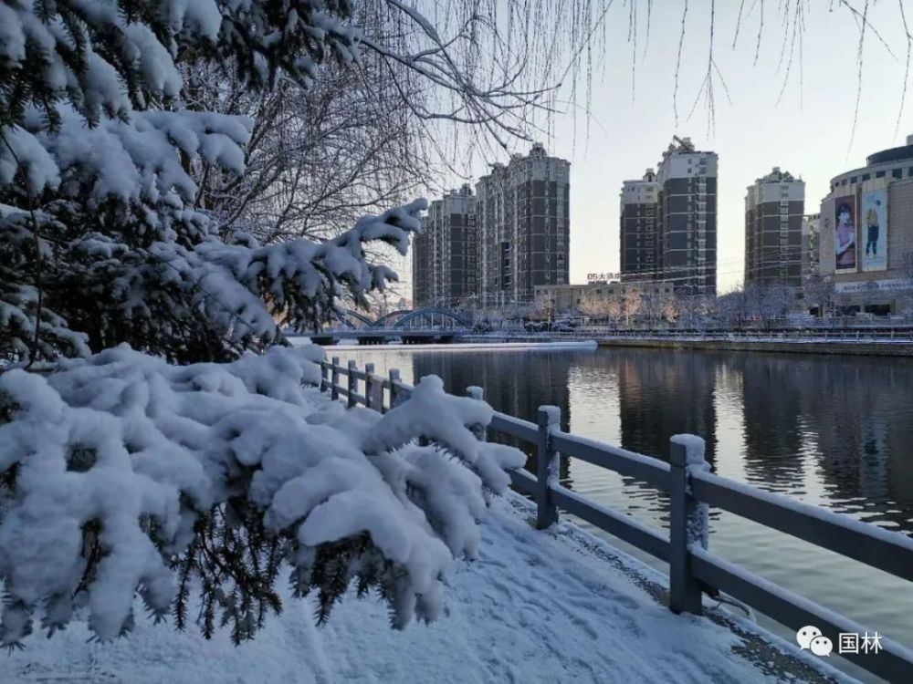 滦平下了第九场雪,国林对您说