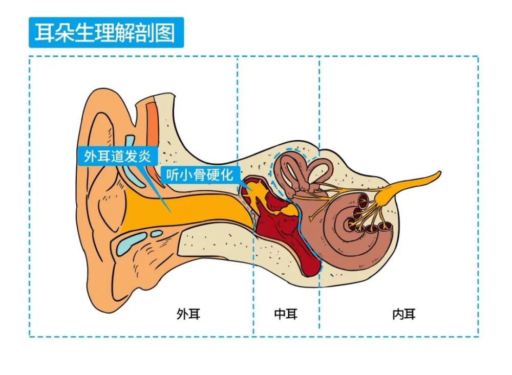 初中英语教案下载_初中教案与作业设计:英语_初中英语作文教案