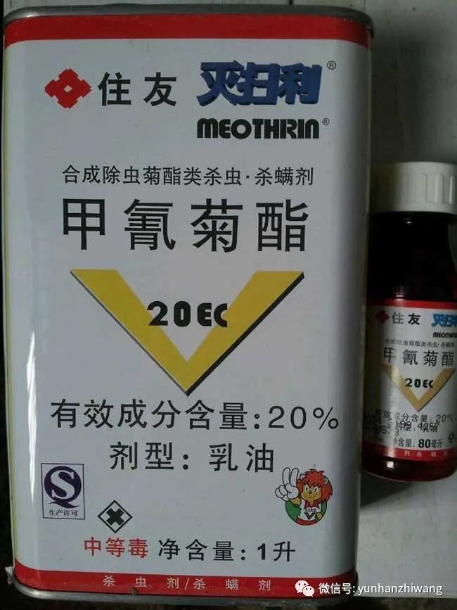 防治蚜虫有哪些特效药?