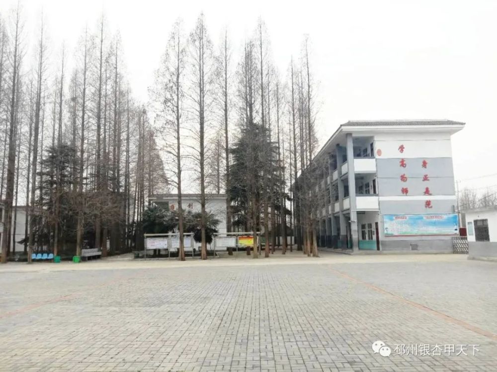 邳州又有2个村上榜"国家森林乡村"!有你家乡吗?
